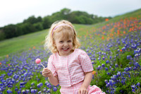 Sloan: Bluebonnets 2024